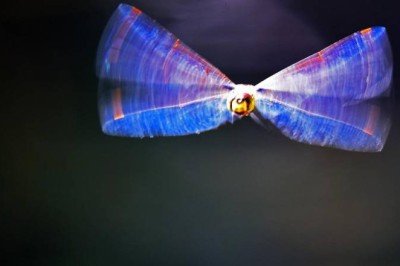 Araştırma: Küçük ve hızlı hayvanlar, büyük ve yavaş hayvanlara göre zamanı daha hızlı algılıyor