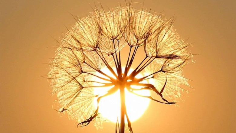 Küresel ısınma tehdidi artıyor