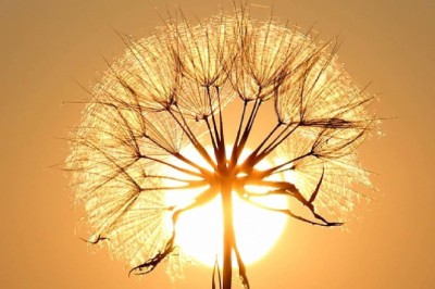 Küresel ısınma tehdidi artıyor