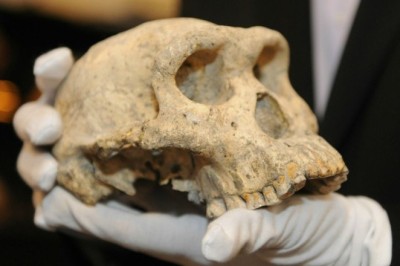 Antropoloji  Nedir?  Antropoloji Neyi İnceler ? Arkeoloji Nedir?