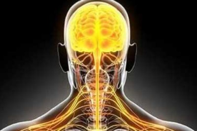 Multiple Skleroz (MS) Hastalığı Nedir ve Tedavisi Nasıldır?