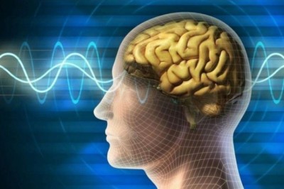 Sezgicilik nedir? Sezgicilik Felsefede Ne Anlama Gelir, Sezgiciliğin Temsilcileri ve Örnekleri Nelerdir?