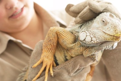 Zooloji Nedir? Zooloji Neyi İnceler?