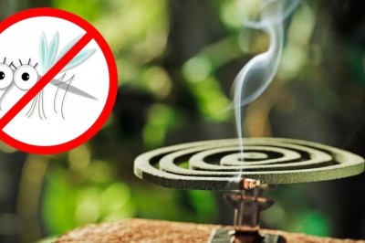 Sivrisinek ve Böcekleri Doğal Olarak Uzaklaştıran Bitkiler