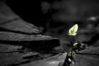 Hayat Zorlaştığında Anımsamanız Gereken 15 Şey