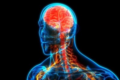 Psikobiyoloji Nedir? Psikobiyoloji Ne Anlama Gelir?