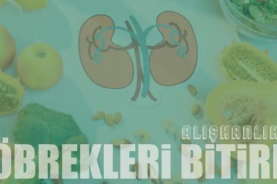 Böbrekleri Bitiren 10 Kötü Alışkanlık