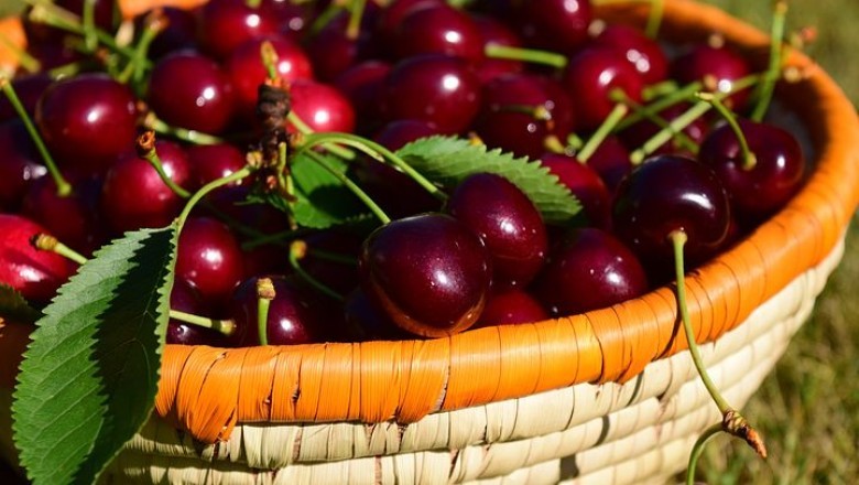 Kiraz Zayıflatır Mı, Faydaları Nelerdir?