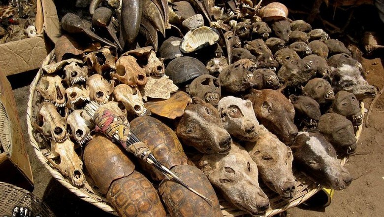 Dünya Üzerindeki En Korkunç Yerler