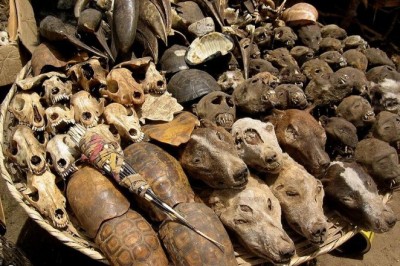 Dünya Üzerindeki En Korkunç Yerler