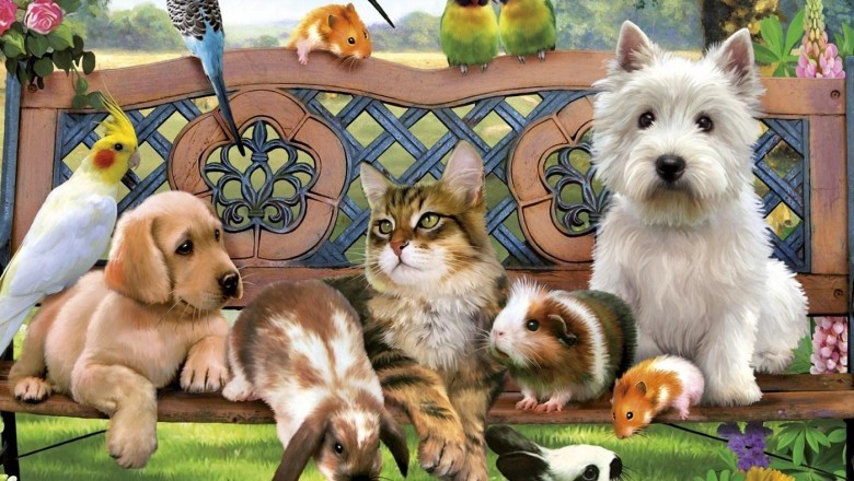 Evcil Hayvan Sahiplenmeden Önce Dikkate Alınması Gereken Faktörler