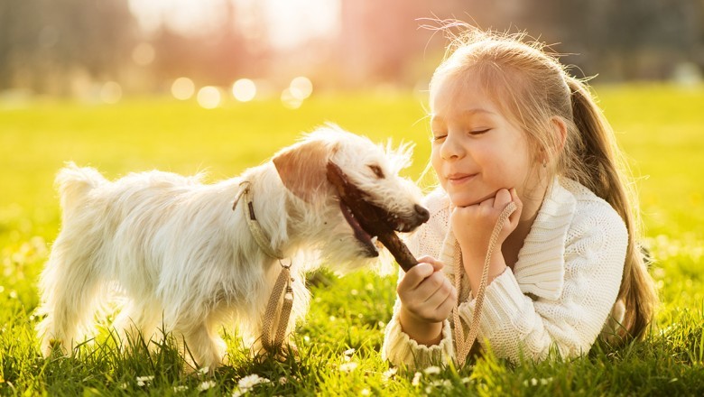 Evcil Hayvanlar ve Çocukların Uyumu: Güvenli ve Sevgi Dolu Bir İlişki Oluşturmanın Yolları