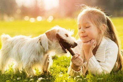 Evcil Hayvanlar ve Çocukların Uyumu: Güvenli ve Sevgi Dolu Bir İlişki Oluşturmanın Yolları