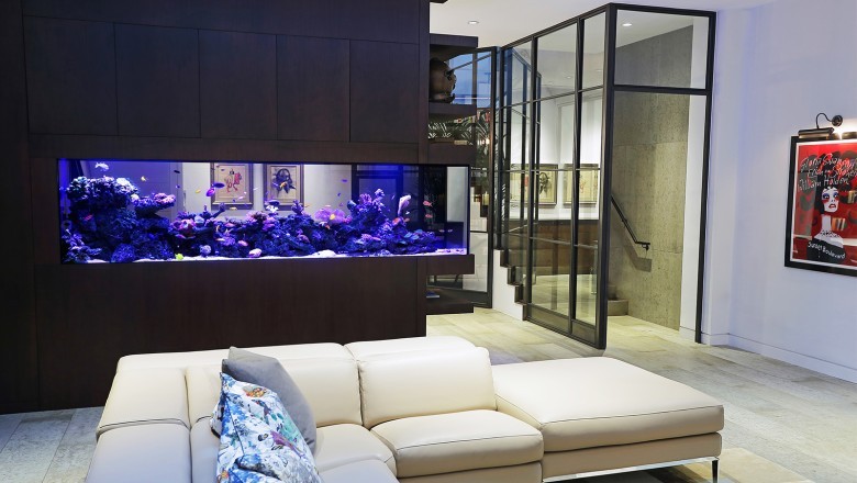 Evde Küçük Bir Akvaryumun Nasıl Kurulacağı: Adım Adım Rehber