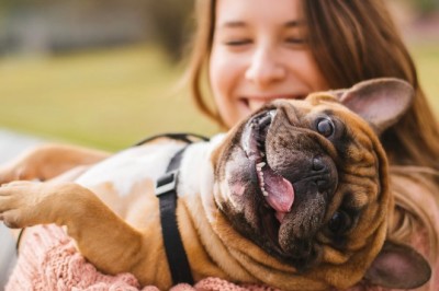 Güvenli Bir Ev Ortamı İçin Evcil Hayvanların Tehlikeli Maddelerden Korunması