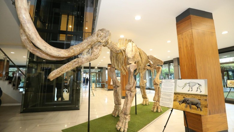 Kayseri'de 7,5 milyon yıllık fosillerin yer aldığı sergi açıldı