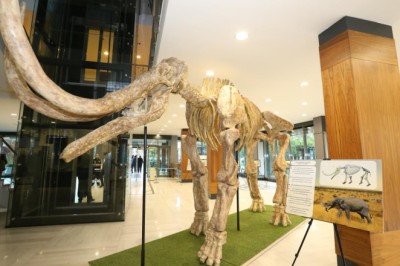 Kayseri'de 7,5 milyon yıllık fosillerin yer aldığı sergi açıldı