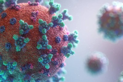 Sadece erkekleri öldüren yeni bir virüs keşfedildi