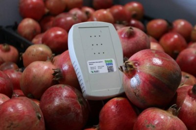 Yapay zeka ile meyve, sebze ve çiçeklerin raf ömrü uzuyor