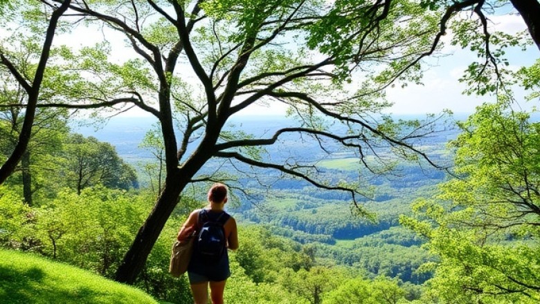 Doğa Yürüyüşleri ve Şehirden Kaçış: Temiz Havanın Sihri