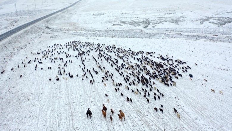 Kars'ta göçerler kar yağışına yakalandı
