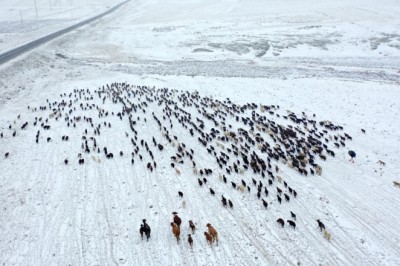 Kars'ta göçerler kar yağışına yakalandı