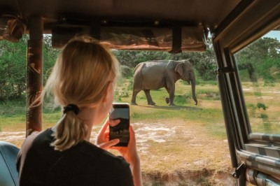 Seyahat için en iyi beş yaban hayatı safarisi