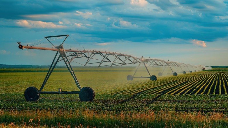 Tarım-ÜFE'de yıllık artış hızı yavaşladı: Kasımda aylık bazda düşüş görüldü