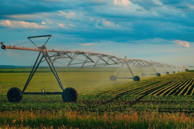 Tarım-ÜFE'de yıllık artış hızı yavaşladı: Kasımda aylık bazda düşüş görüldü