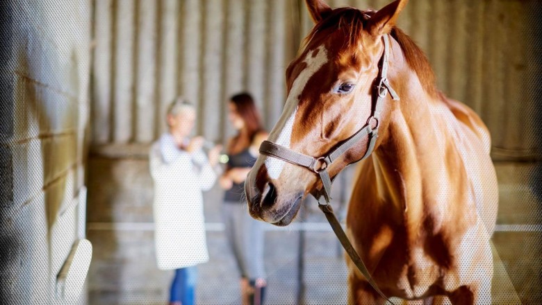 Türkiyede veterinerlik eğitiminin 183. yılı