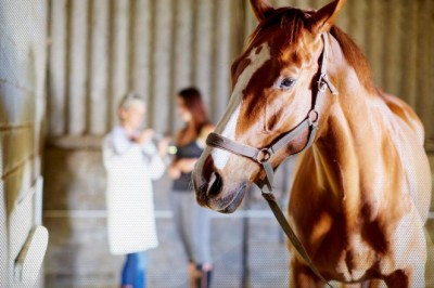 Türkiyede veterinerlik eğitiminin 183. yılı