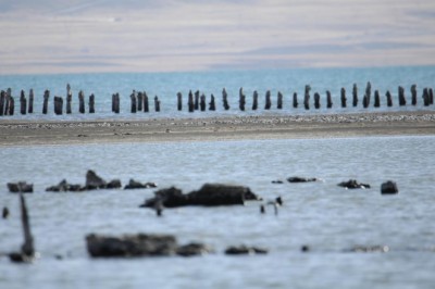 Van Gölü'nün çekilmesiyle asırlık iskelenin ayakları ortaya çıktı