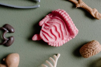 İkinci Beyniniz Sandığınızdan Daha Aç