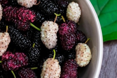 Beyaz Altın Dut Kurusu: Kaynatıp İçince Vücutta Neler Değişir?