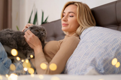 Kedi Neden Sürekli Aynı Kişinin Üzerinde Uyur?