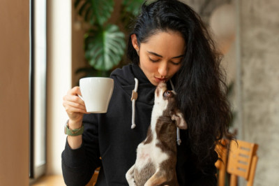 Yağ Yakan Mucize mi, Tatlı Bir Efsane mi? Kahve Kilo Verdirir mi?